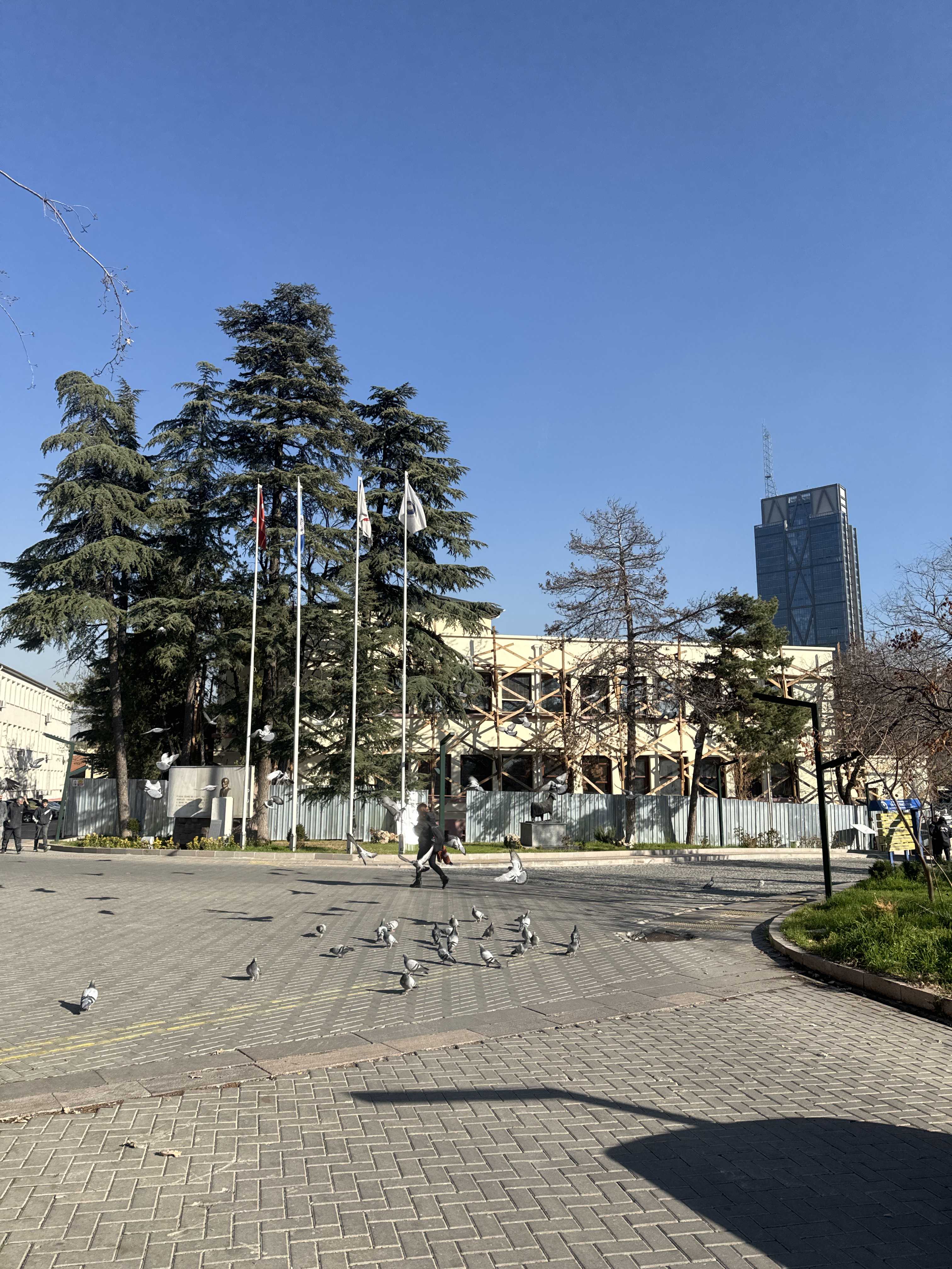 Veteriner anatomi müzesi