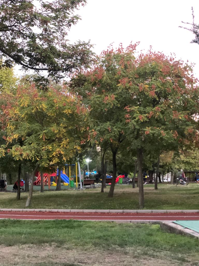 Bahattin Dinçmen Parkı